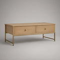 Mesa de Centro Retangular com 2 Gavetas em MDF Folheado a Carvalho, 120 x 60 x 45 cm